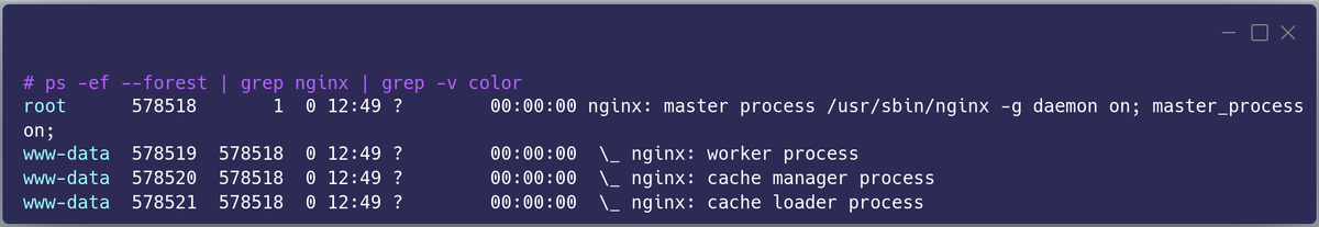 Nginx Processes