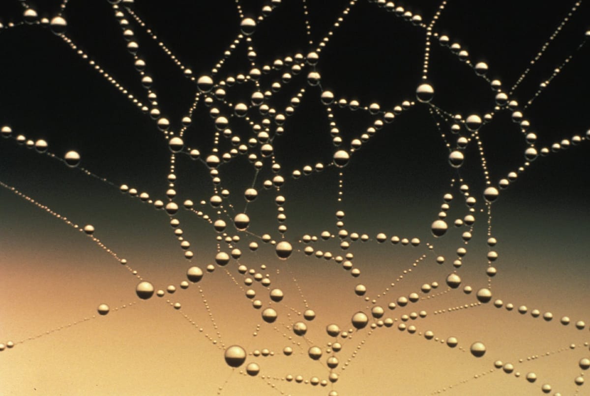 abstract close up cobweb connection