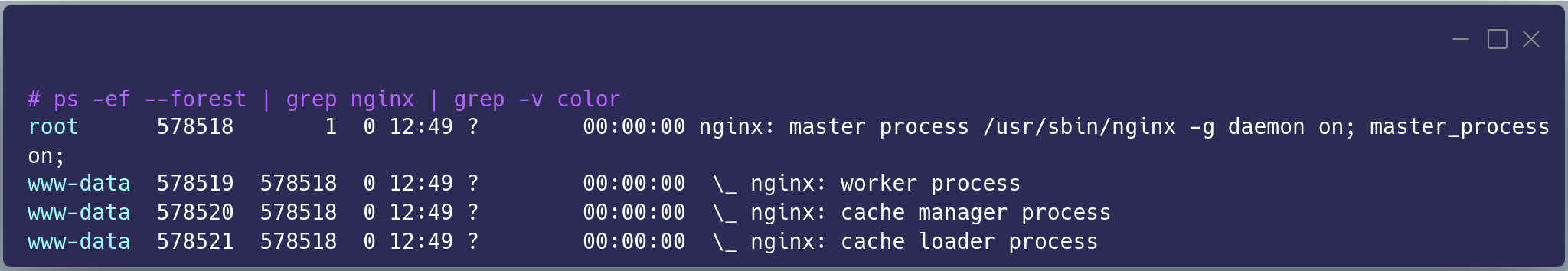 Nginx and its workers with some random facts